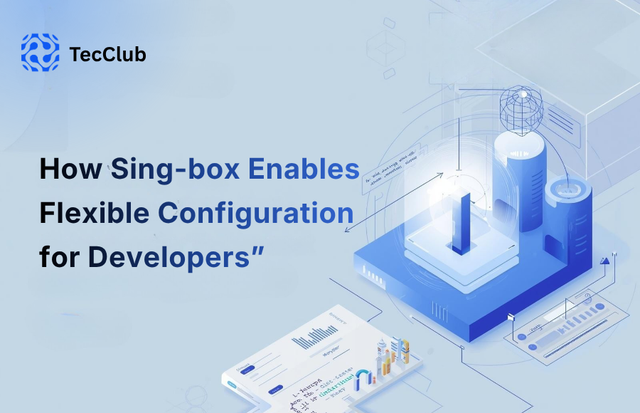 How Sing-box Enables Flexible Configuration for Developers - image