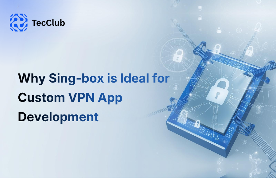 Why Sing-box is Ideal for Custom VPN App Development